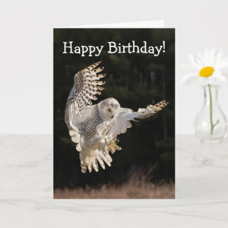 Carte Joyeux hibou d'anniversaire
