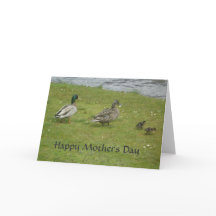 Joyeux Jour des mères canards