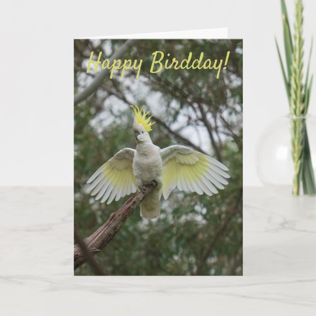 Carte Joyeux Jour des oiseaux Anniversaire Cockatoo Aust (Devant)