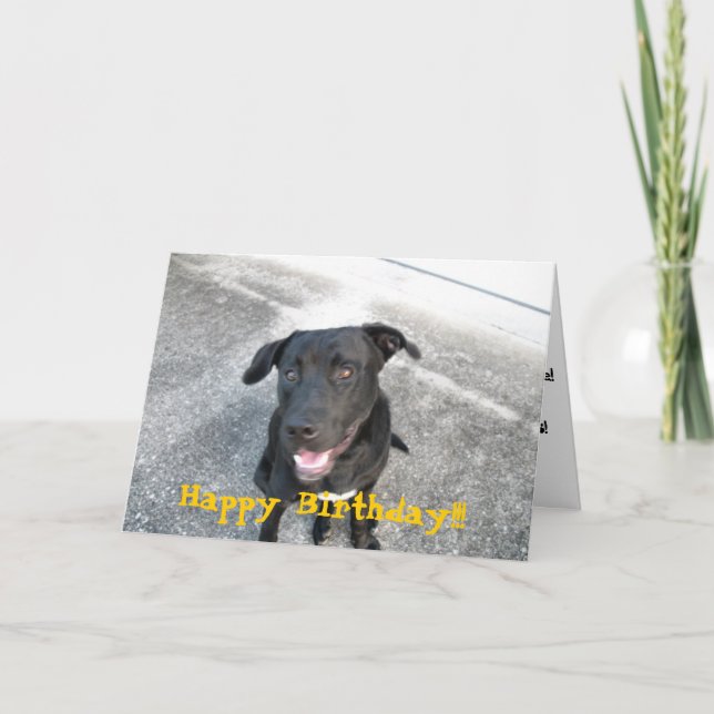 Carte Joyeux Labrador noir (Devant)