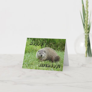 Carte Joyeux marmotte d'anniversaire