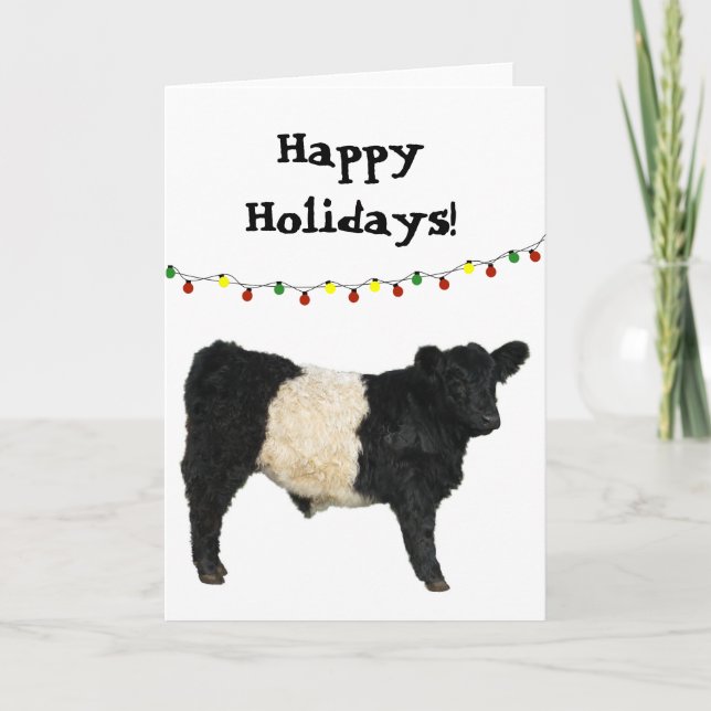 Carte Joyeux Noël Beltie Galloway Beltie Cow (Devant)