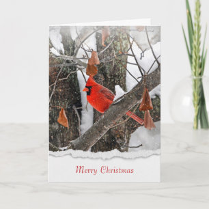 Carte Joyeux Noël cardinal rouge sur branche