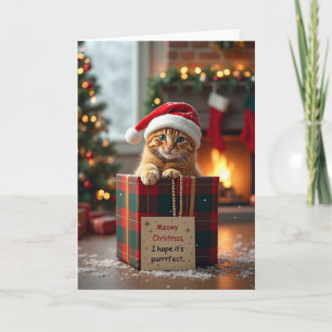 Carte Joyeux Noël chaton parfait