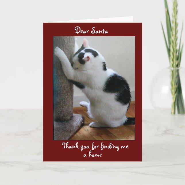 Carte Joyeux Noël de votre chat adopté (Devant)