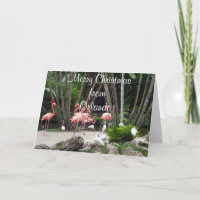 Joyeux Noël d'Orlando