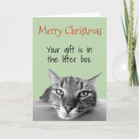 Joyeux Noël du cadeau de chat dans la boîte à liti