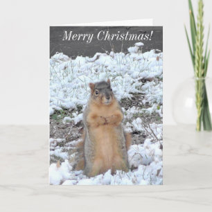 Carte Joyeux Noël et Joyeux Nouvel An hiver d'écureuil