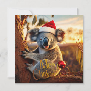 Carte Joyeux Noël Koala assis dans un Eucalyptus