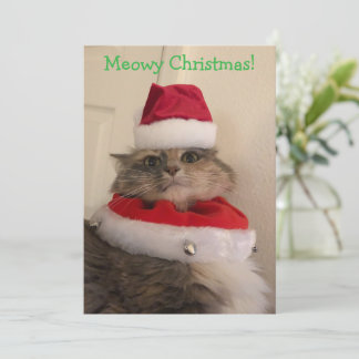 Carte Joyeux Noël miaou