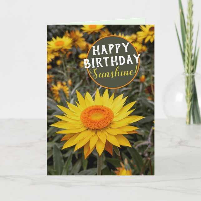 Carte Joyeux papier de l'énergie Fleur de marguerite Joy (Devant)