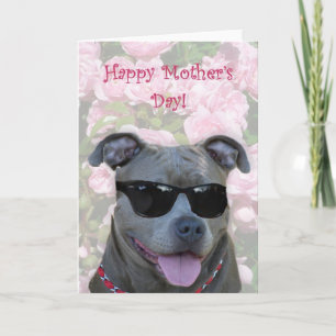 Carte Joyeux pitbull bleu fête des mères avec lunettes