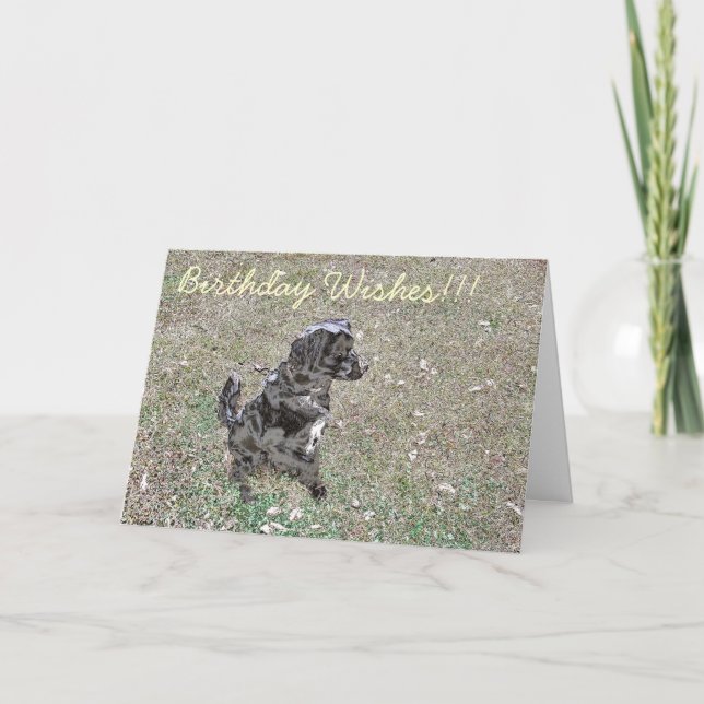 Carte Joyeux Pooch d'anniversaire ! (Devant)