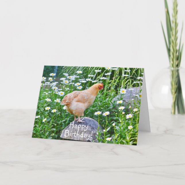 Carte Joyeux Poulet D'Anniversaire Avec Marguerites (Devant)