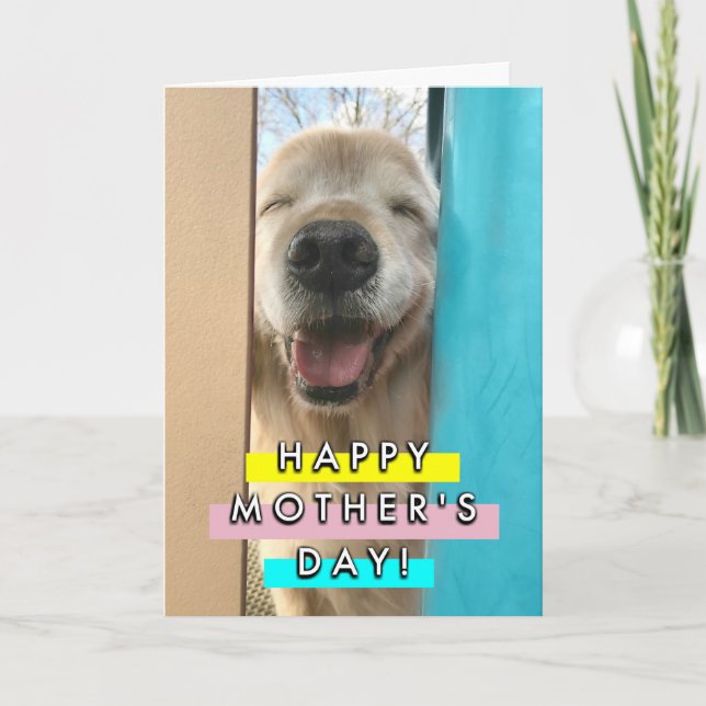 Carte Joyeux sourire Golden Retriever Chien Fête des mèr (Devant)