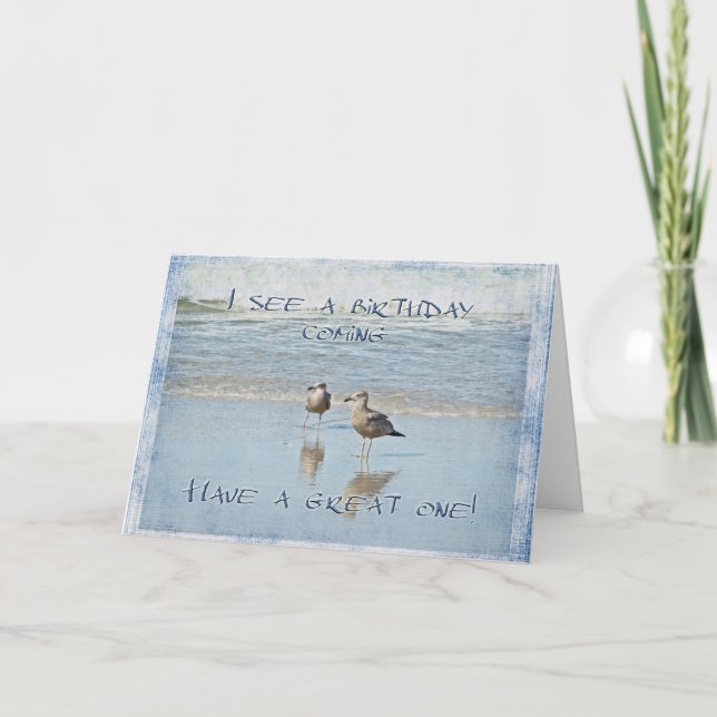 Carte Joyeux voeux d'anniversaire - Deux jeunes mouettes (Devant)