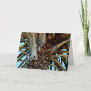 Carte "Joyful Palm" Close up, top of tree with blue sky