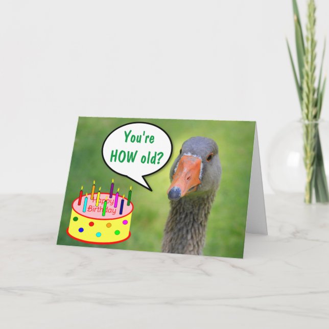 Carte Jugement Goose Funny Anniversaire (Devant)
