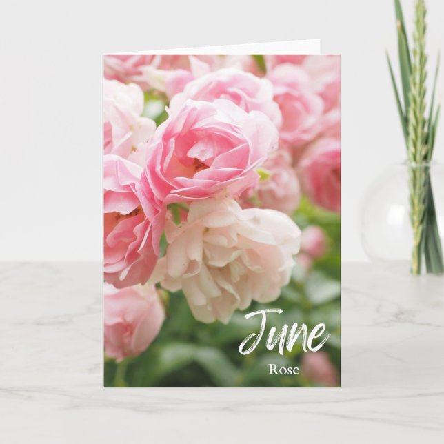 Carte Juin Rose Rose Naissance Mois Fleur Anniversaire (Devant)