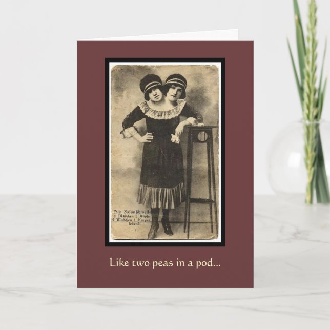 Carte Jumeaux siamois vintages (Devant)