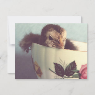 Carte Juste Chillin'