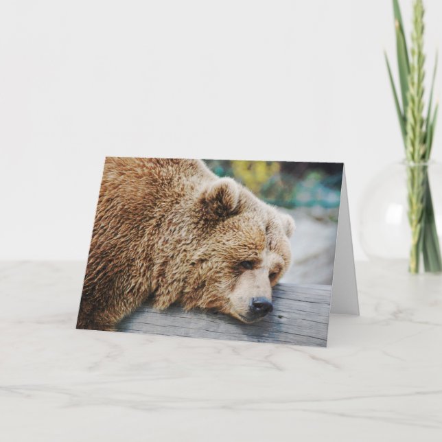 Carte Juste Grin and Bear it Fun Anniversaire Ours (Devant)