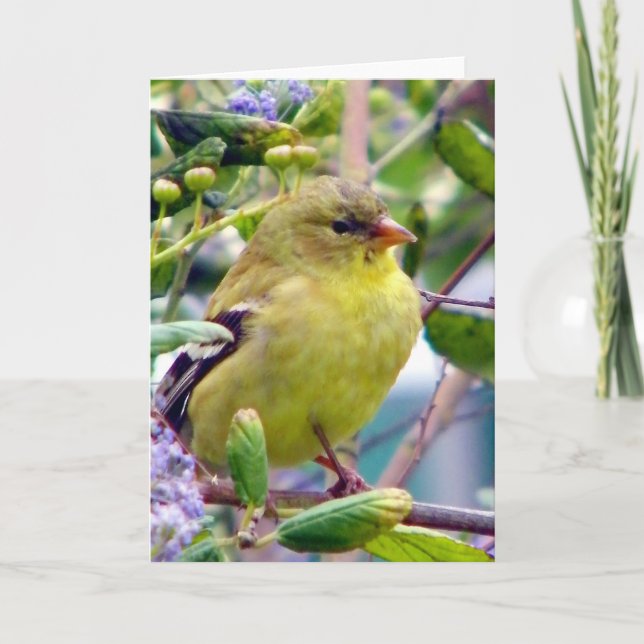 Carte Juste parce que (Devant)