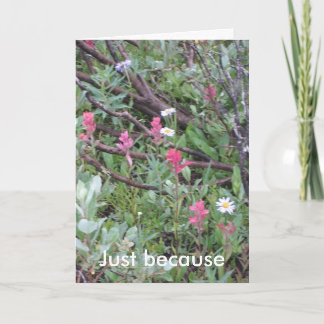 carte : Juste parce que (Devant)