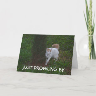 CARTE JUSTE PROWLING BY AVEC BANTHDAY HI POUR VOUS