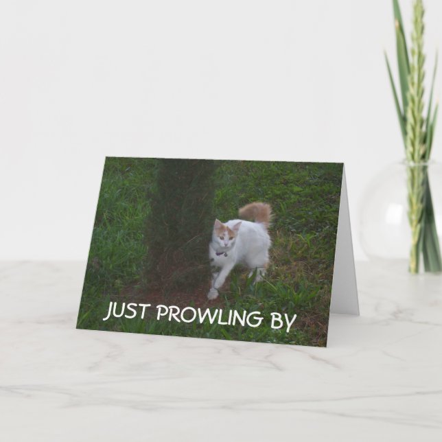 CARTE JUSTE PROWLING BY AVEC BANTHDAY HI POUR VOUS (Devant)
