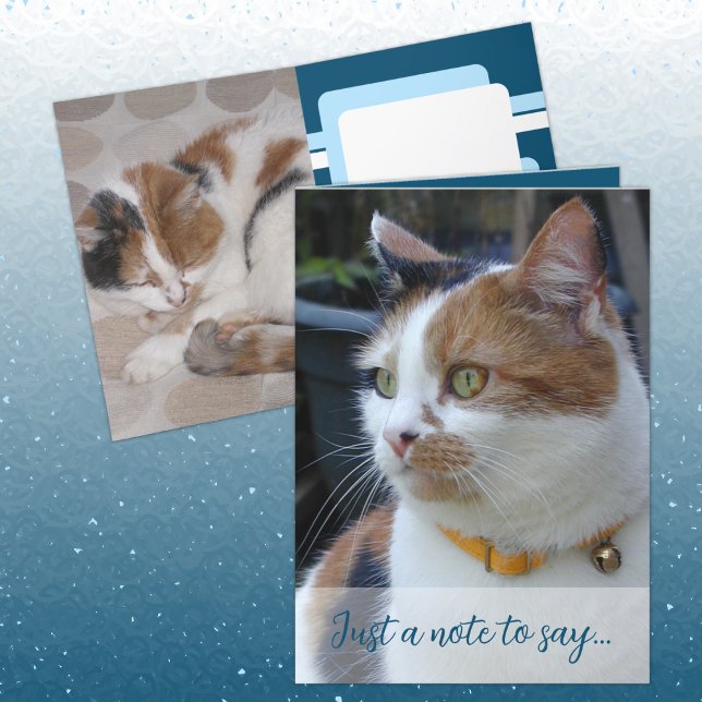 Carte Juste une note pour dire 3 photos de chat bleu (Créateur téléchargé)