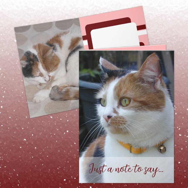 Carte Juste une note pour dire 3 photos de chat bordeaux (Créateur téléchargé)
