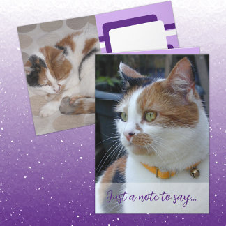 Carte Juste une note pour dire 3 photos de chat violet