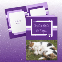 Juste une note pour dire photos de chat blanc viol