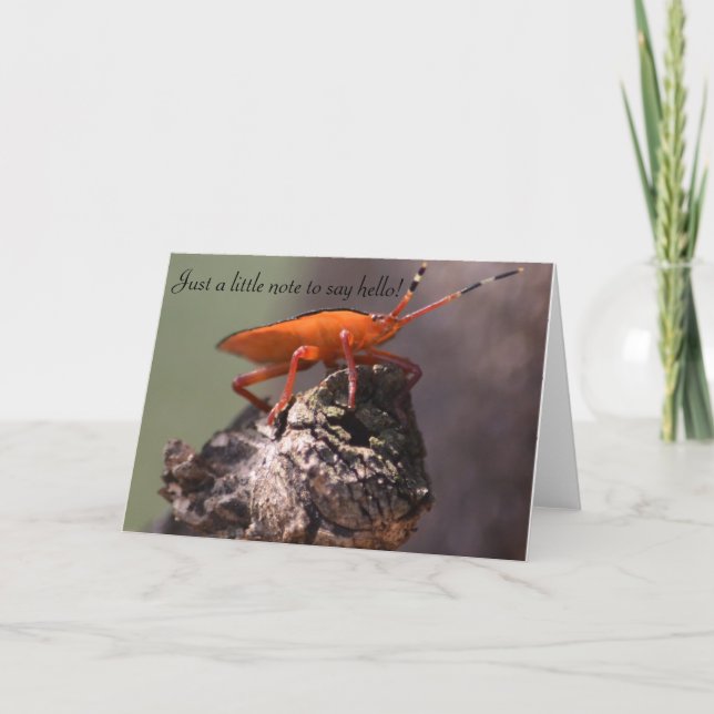 Carte Juste une petite note à dire bonjour ! (Devant)