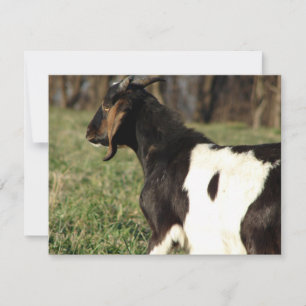 Carte Kalvin