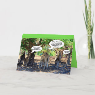 Carte Kangaroo Famille Joyeux Humour d'anniversaire