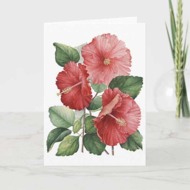 Carte Ketmies roses vintages, (Devant)