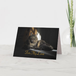 Carte Kimber Cat Slivers of Sunlight Anniversary Card