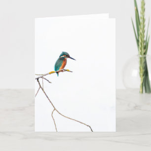 Carte Kingfisher minimaliste sur blanc pour ornithologue