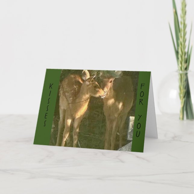 CARTE **KISSES POUR VOUS À L'ANNIVERSAIRE" (Devant)