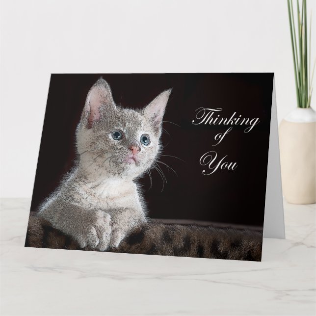 Carte Kitten (Devant)