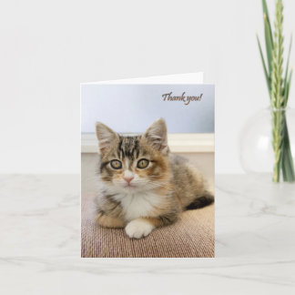 Carte Kitten