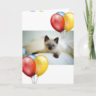 Carte Kitten