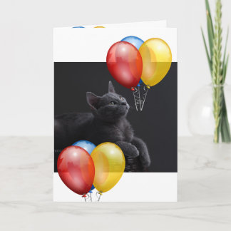 Carte Kitten