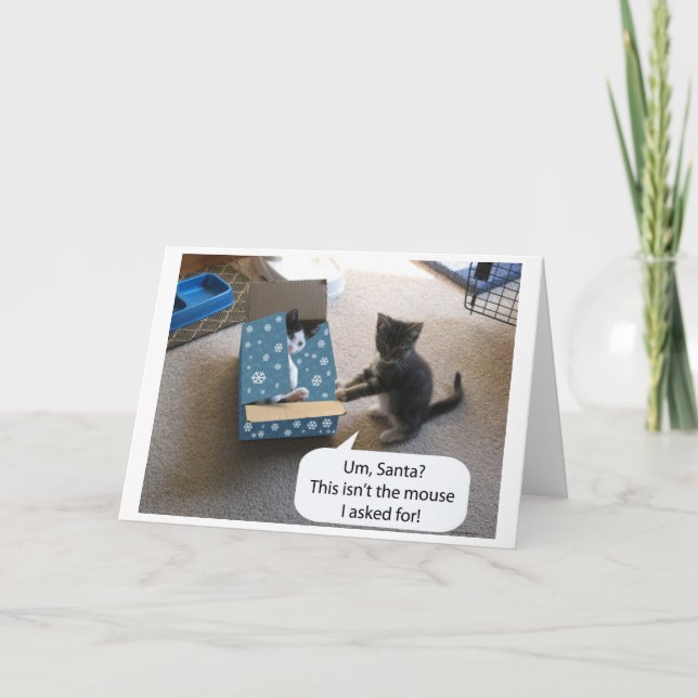 Carte Kitten Christmas Surprise (vide à l'intérieu (Devant)