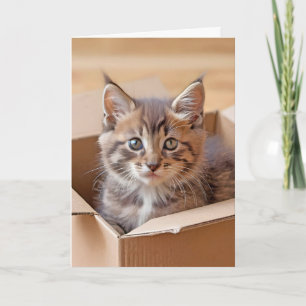 Carte Kitten d'anniversaire dans une boîte en carton