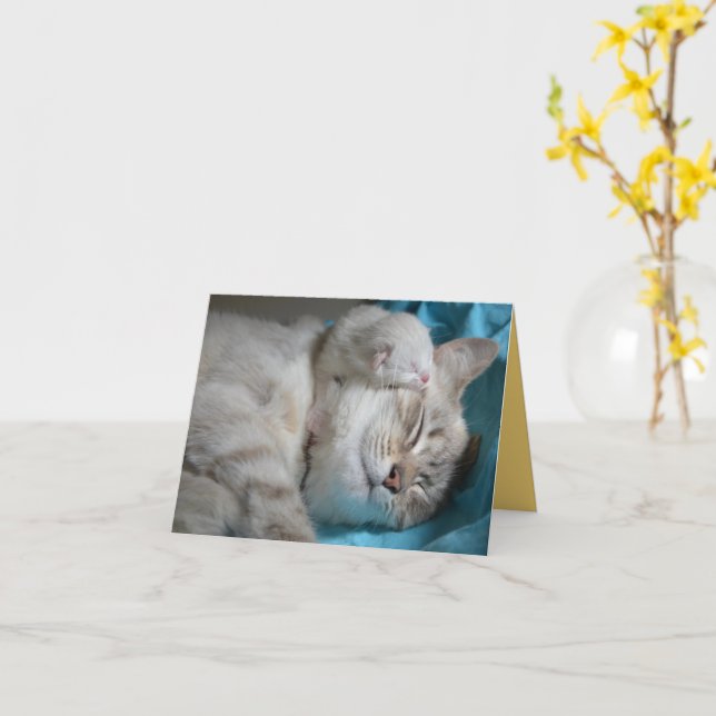 Carte Kitten Love (Fleur jaune)