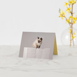 Carte Kitten Love