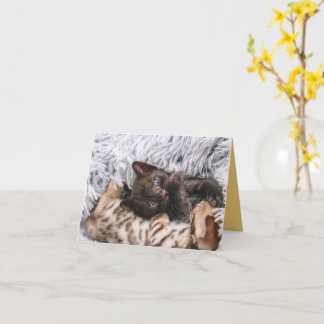 Carte Kitten Love